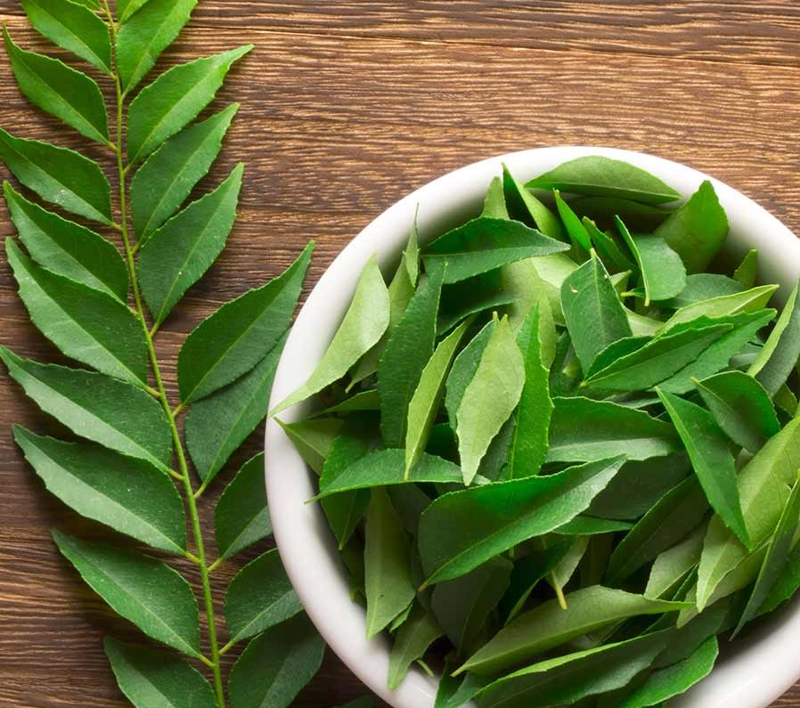 Curry_leaves_898