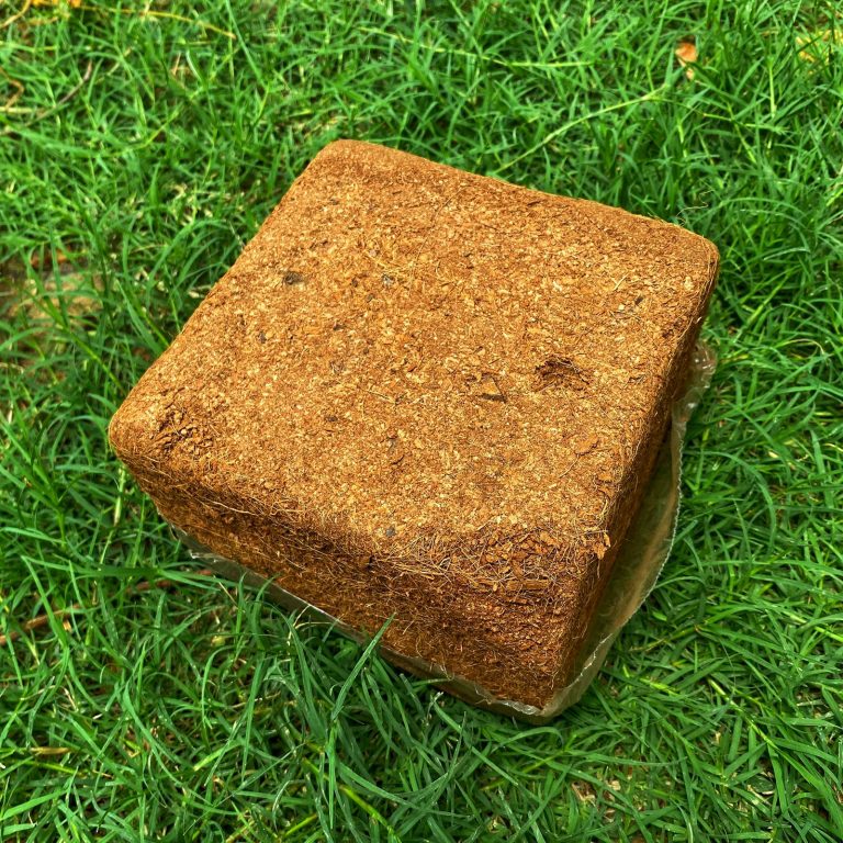 cocopeat